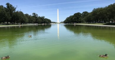 A One-Day Kid-Friendly Walking Tour of Washington DC